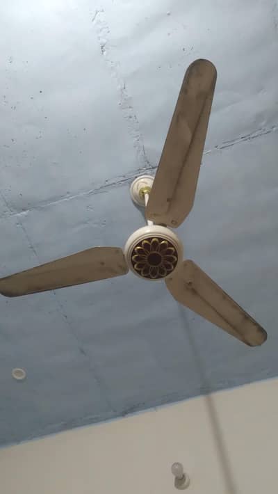 3 Ceiling Fans for Sale – Good Condition