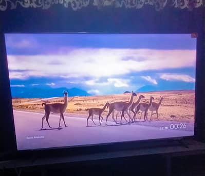 55 inches TCL smart tv