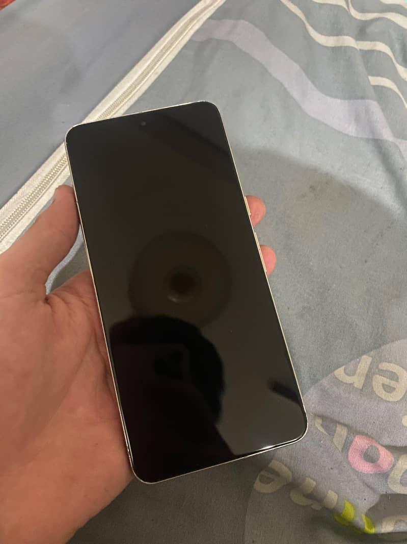 Google Pixel 8 Pro 1