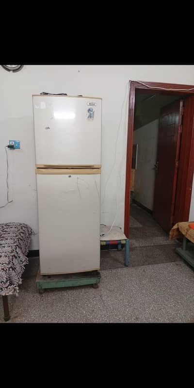 1 year warranty in just 50000