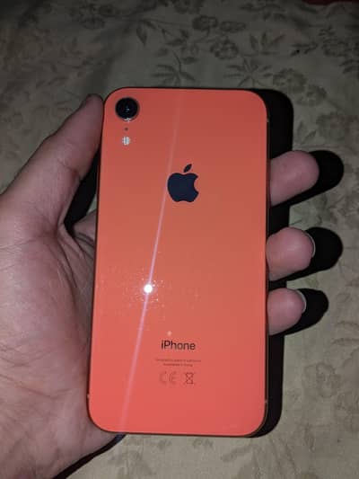 iphone XR pta