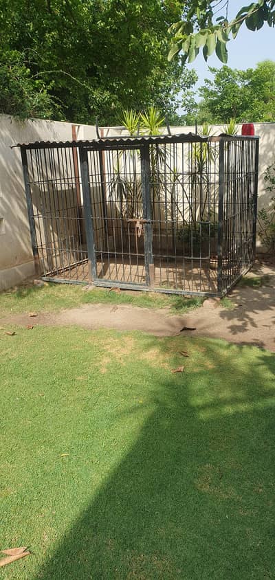 dog cage