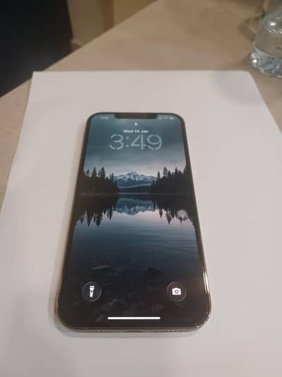 iPhone 12 Pro Max