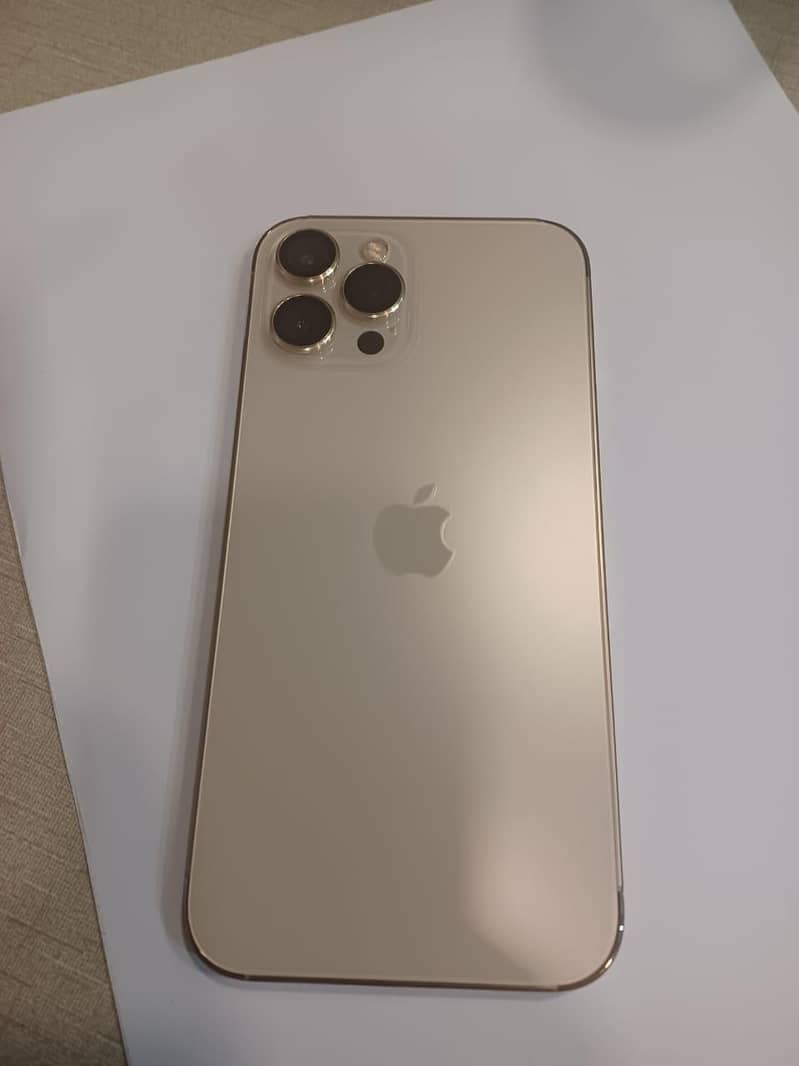 iPhone 12 Pro Max 1