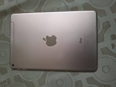 ipad Mini5