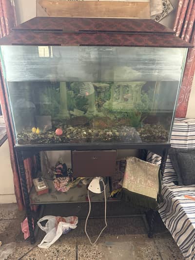 Aquarium