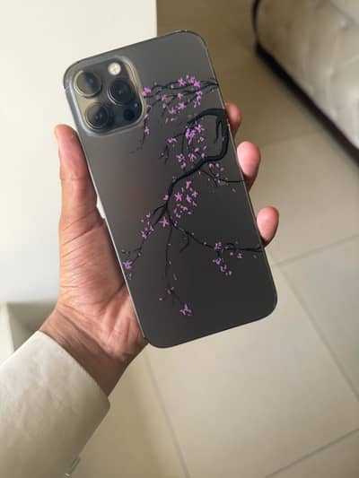 Apple iPhone 12 Pro Max