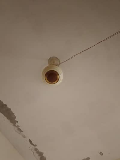 Fan for sale