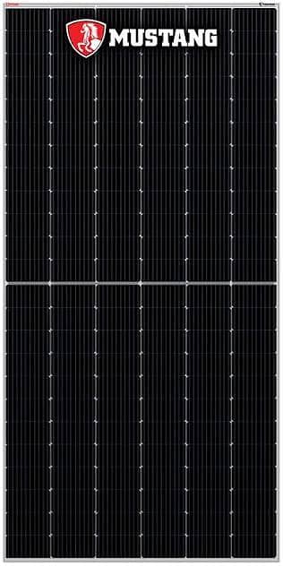 Inverex Solar panel