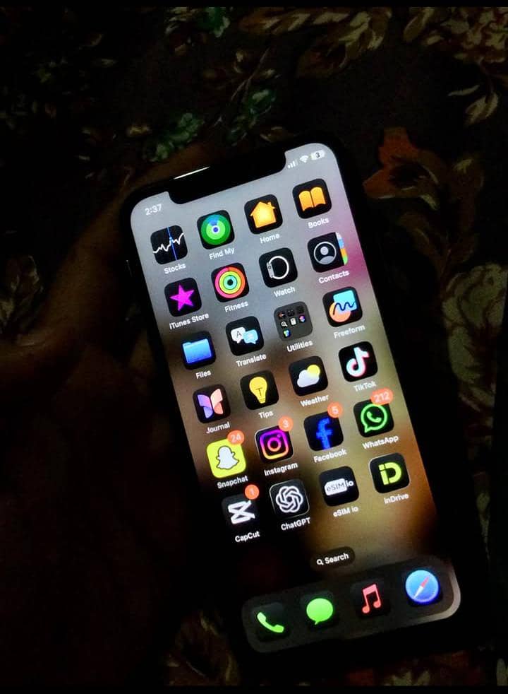 Apple iPhone XS 5