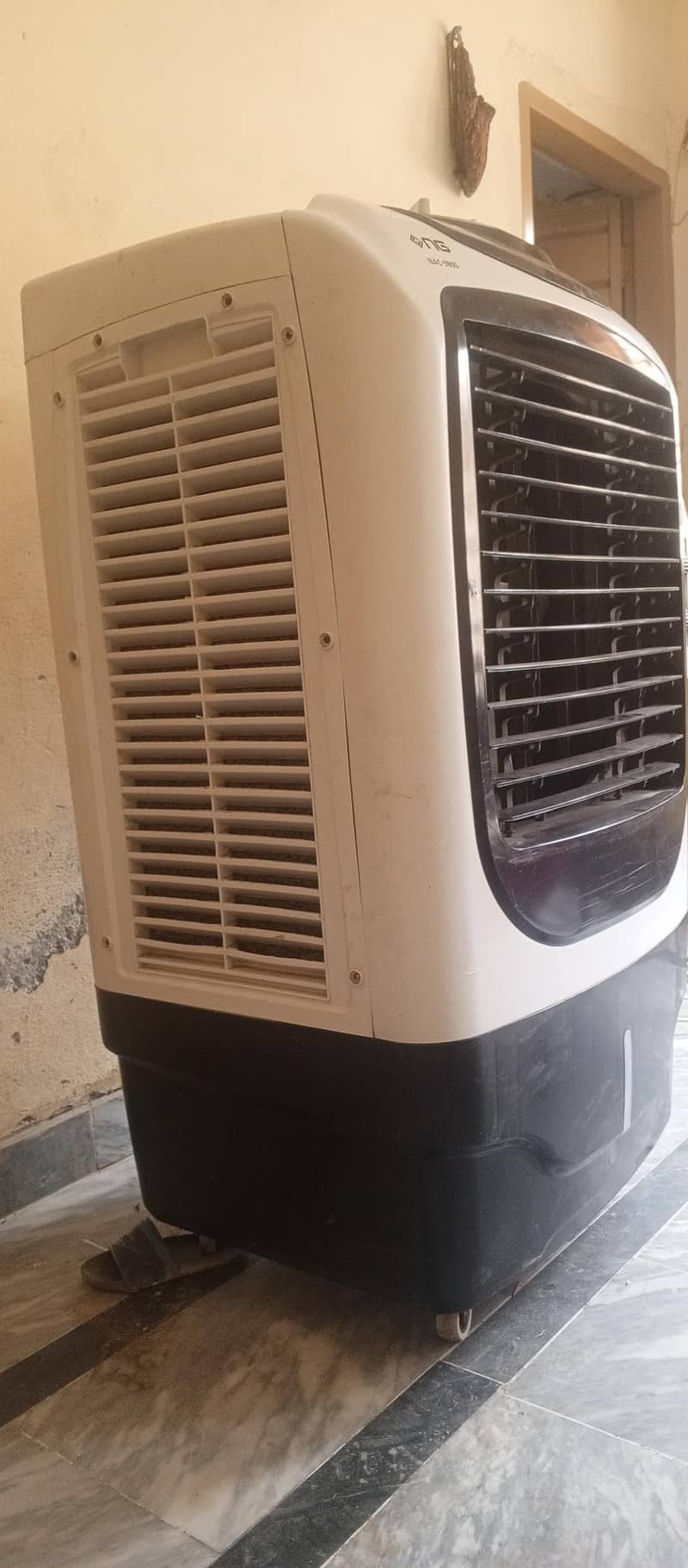 کنڈیشن بالکل اوکے  4