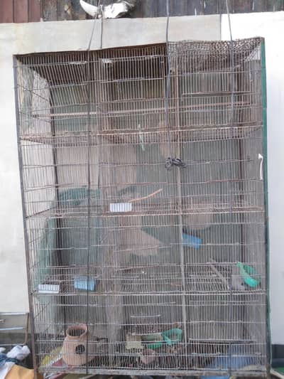 12 Khana Wala Bada pingera price 8000