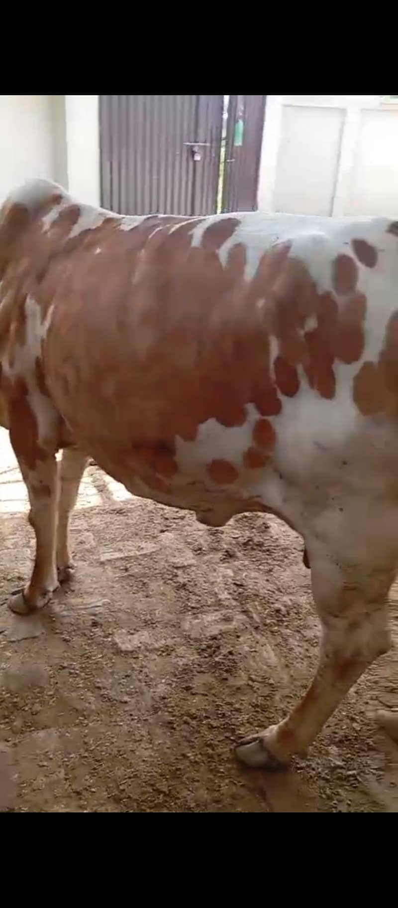 برائے فروخت 1