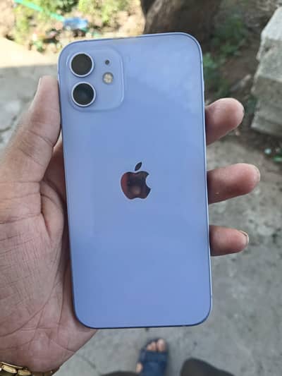 Apple iPhone 12