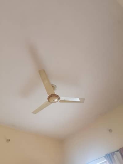 7 ceiling fan for sale pk fan royal fan