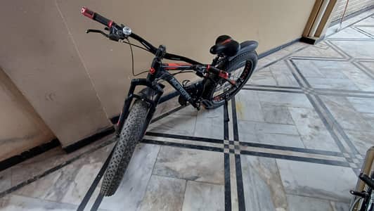 MORGAN FAT BIKE.  26 INCHES
