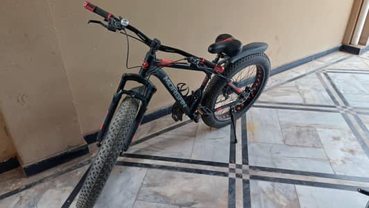 MORGAN FAT BIKE.  26 INCHES