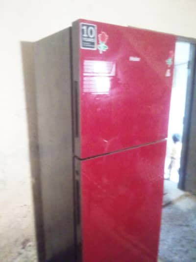 haier glass dor
