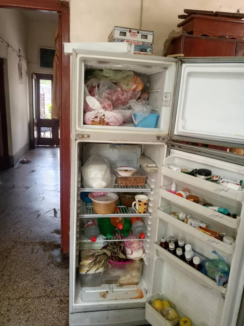 fridge 2
