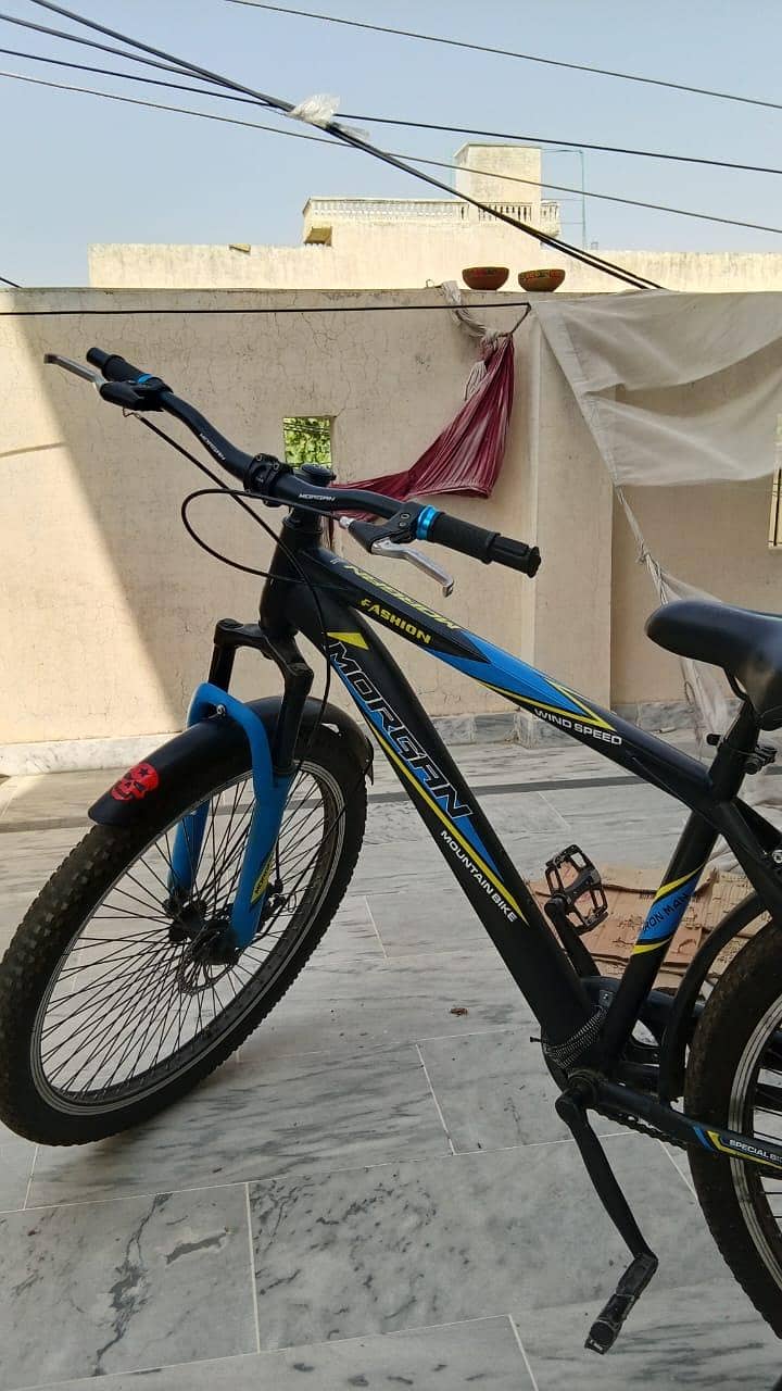 morgan cycle 0