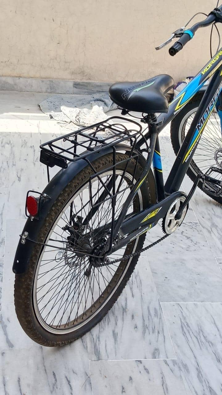 morgan cycle 1