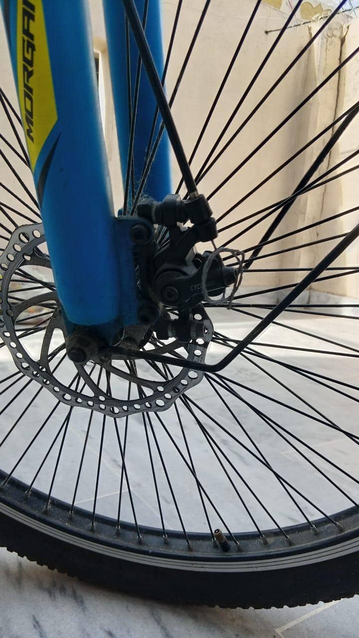 morgan cycle 2