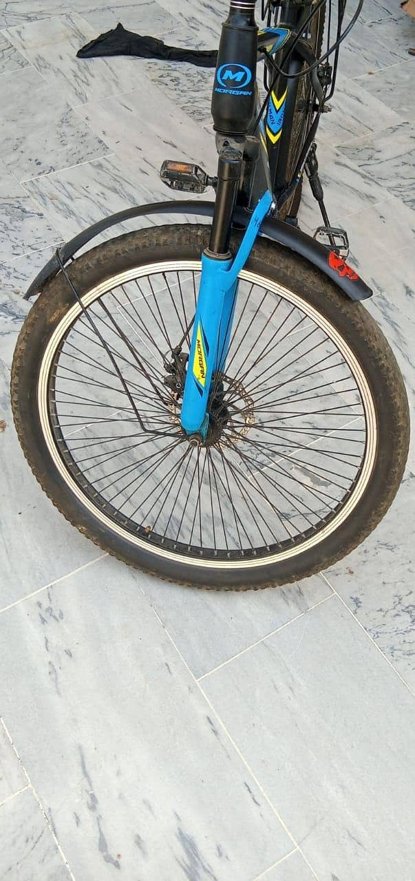 morgan cycle 3