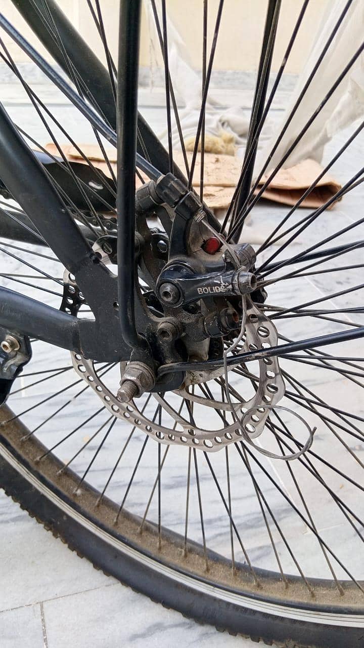 morgan cycle 4