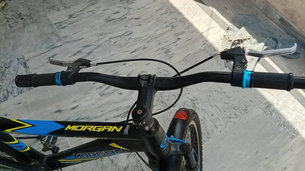 morgan cycle 5