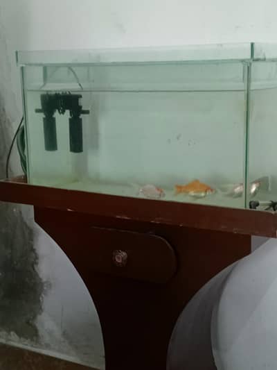 Aquarium setup for sale