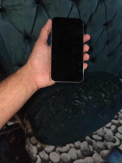 Apple iPhone 13 Pro