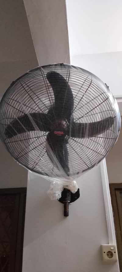Royal Fan