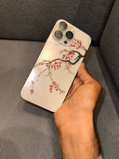 Apple iPhone 16 Pro Max