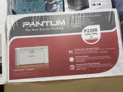 Pantum P2200 Printer