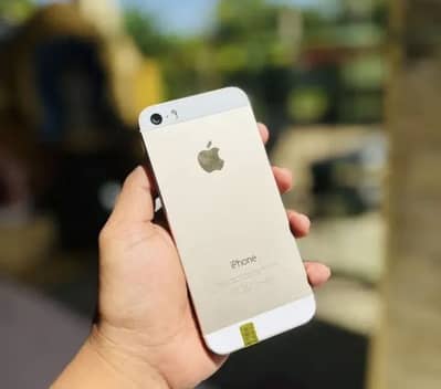 Apple iPhone 5s PTA Approved
