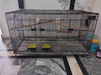 iron wire 3 Doors partition wise Cage Available
