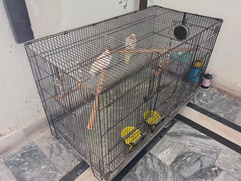 cage available iron wire 3 Doors partition wise Cage Available — photo 2
