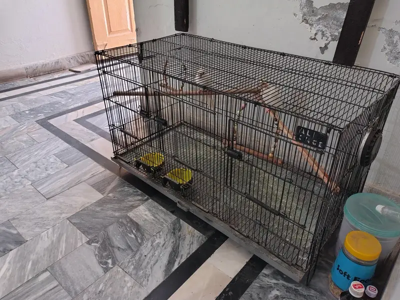 cage available iron wire 3 Doors partition wise Cage Available — photo 3