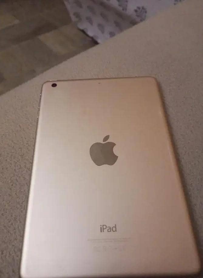 mini ipad3 2