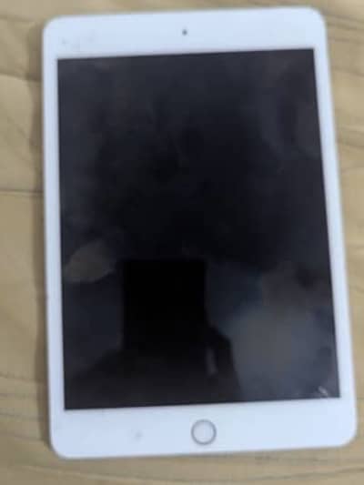 iPad Mini 5 Urgent Sale - Touch 100% OK, Minor Screen Line