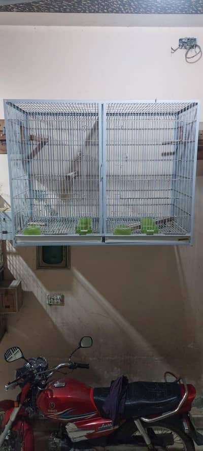 birds cage