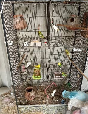 6 portion angle cage in solid condition