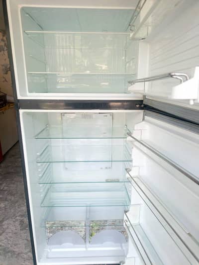 dawnlance jambo size fridge perfect cooling/0321/080/77/77/