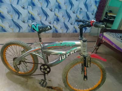 Bicycle