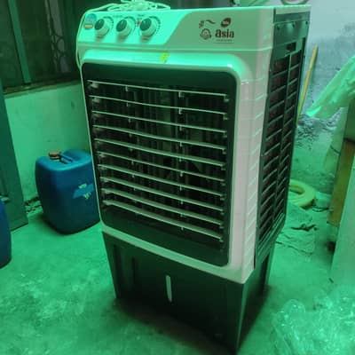 Asia Cooler Medium Size