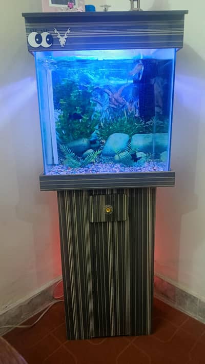 aquarium