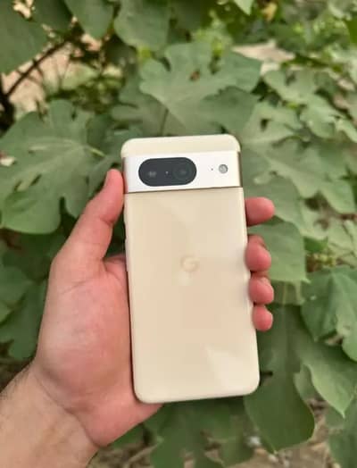 Google Pixel 8 OFFICIAL APPROVED