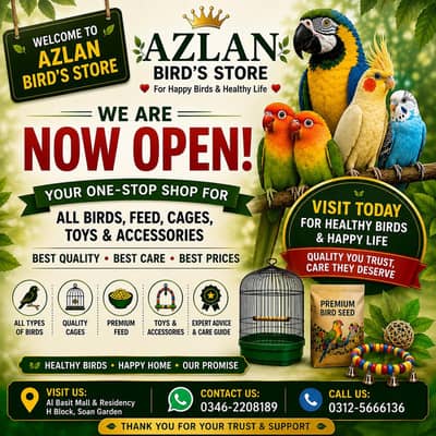 Azlan Birds Store