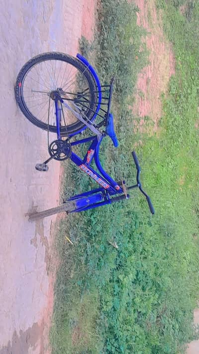 for sale