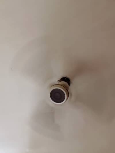 Gfc ceiling fan for sale. Working condition. 2000 rs